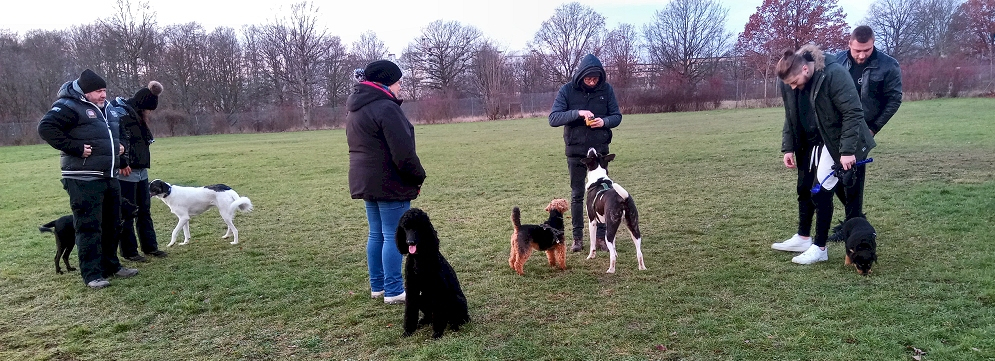 eingezäunter Hundefreilaufplatz